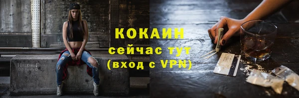 хмурый Алексин