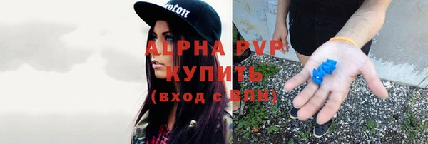 стаф Алексеевка