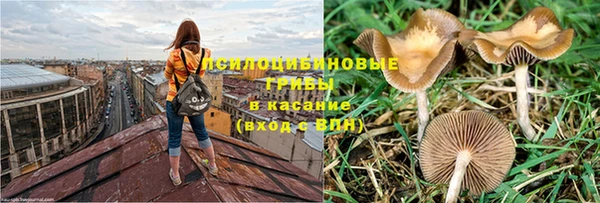 гашик Армянск