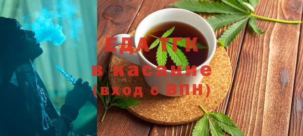 хмурый Алексин