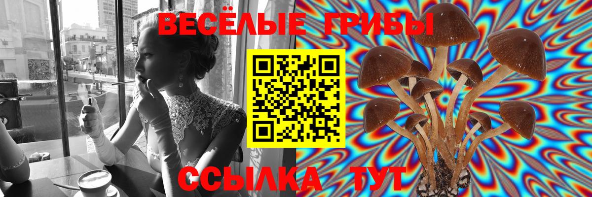Псилоцибиновые грибы Cubensis  Вход с VPN  Галлюциногенные грибы Magic Shrooms  как найти   Саров 