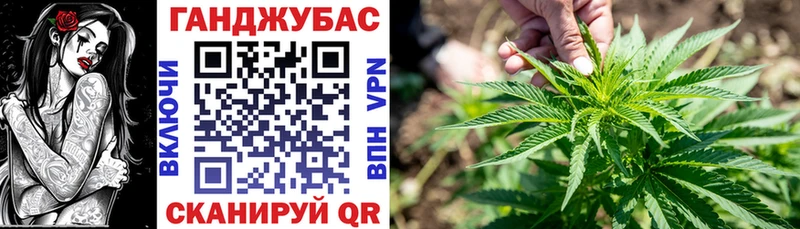 МАРИХУАНА план где можно купить наркотик Саров